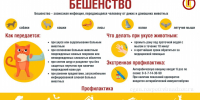 28 сентября — Всемирный день борьбы с бешенством - Газета Ирбейская правда